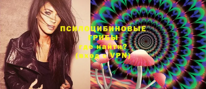 Псилоцибиновые грибы Psilocybe  купить наркотики цена  Зарайск 